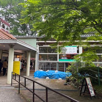リフトに乗って降りました。