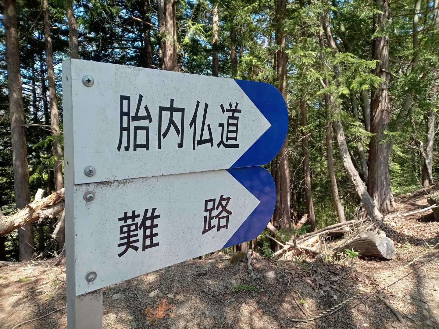 「楽路はないの？」
って同行の山友。なさそーだね🤭