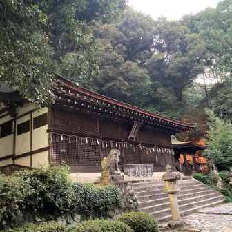 こちらもご挨拶して参ります