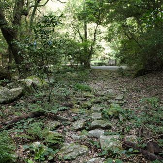 無事下山⛰️⛰️     可愛い花を見れてとてもいい山歩きができました👌