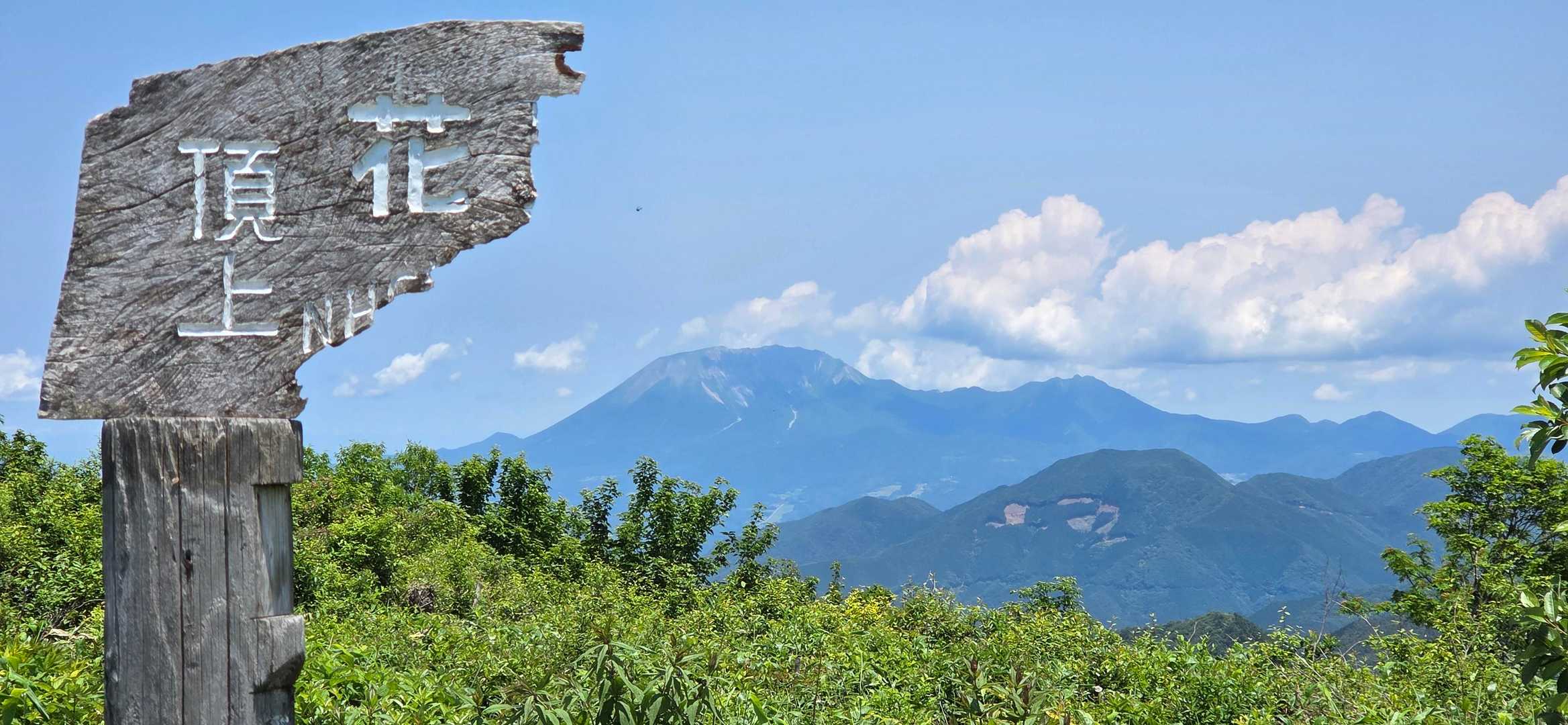 花見山 往復コースの写真