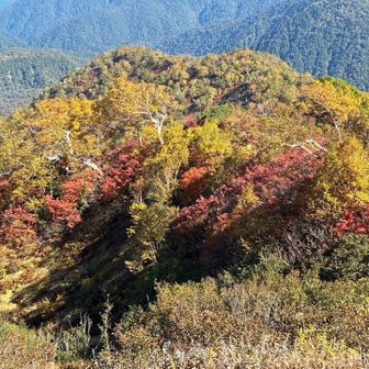 紅葉いいね