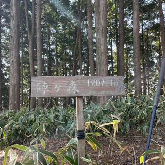 陣ヶ森⛰️