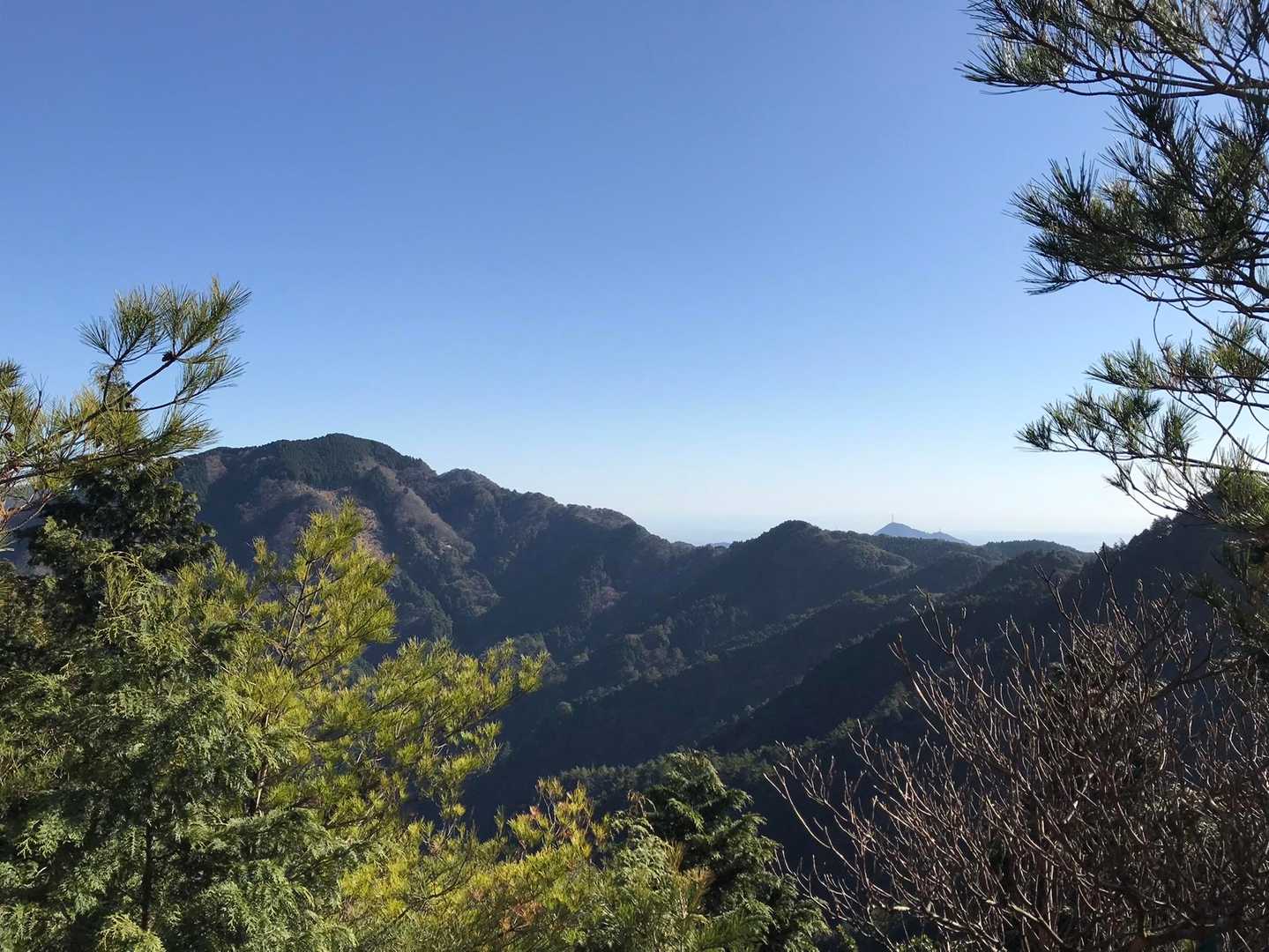 やっと眺望🎶