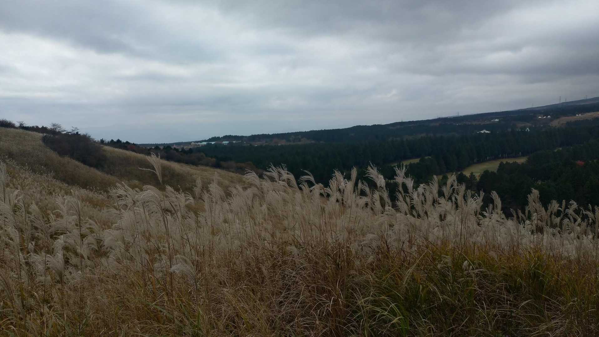 十里木-越前岳 往復コースの写真