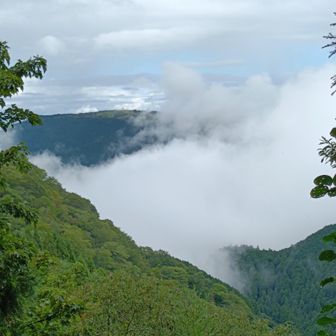 雨上がり葛城山の雲海
イイ感じ💕