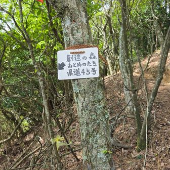 ここの標識も外されていたらしい
7月来た時はあったので外されたのは最近かな？
新しいものが取り付けてありました。ありがたいです👍