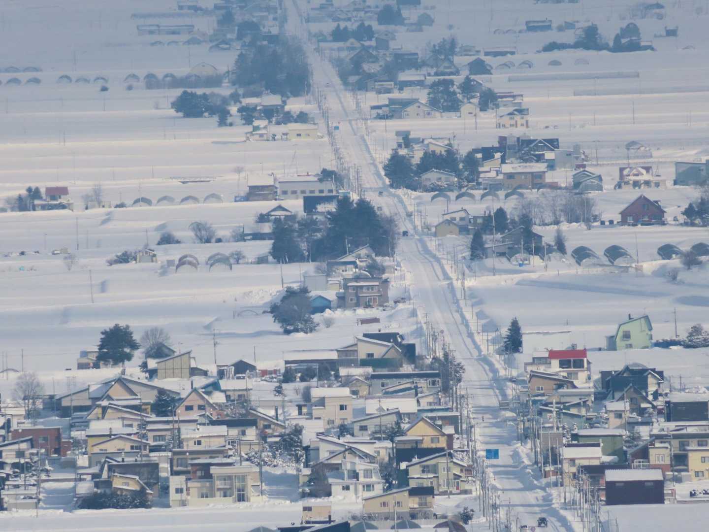 嵐山-近文山 往復コースの写真