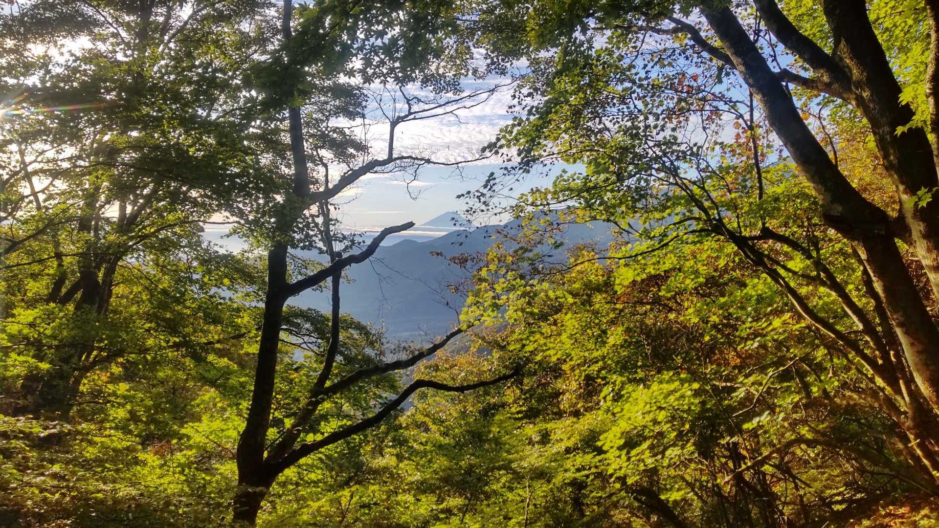 矢立石登山口-日向山 往復コースの写真