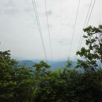 晴れてれば富士山見えるのかな？