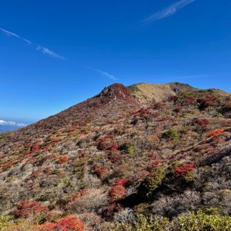 星生山北斜面🍁