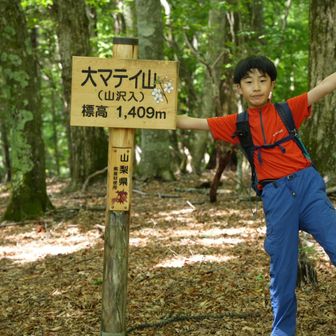 大マテイの由来は大迷いだそうです。カタカナを使用するのは諸説あるようです。