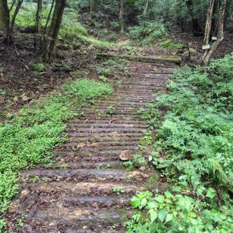 ここ滑り台