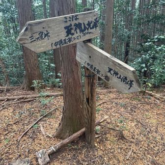 天神山（北峰）登頂310m
（YAMAP307m）