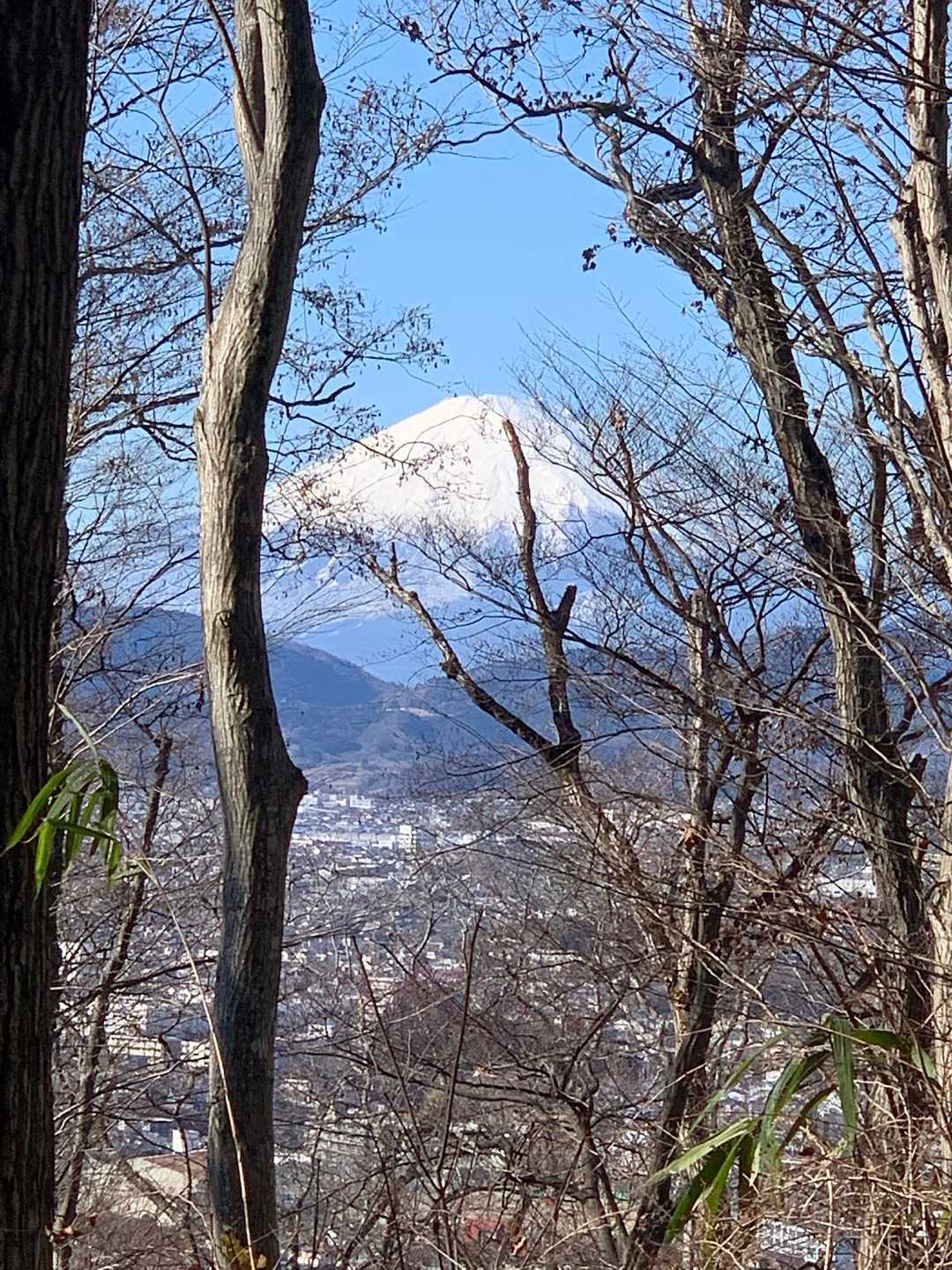 むふぅ🗻