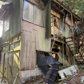 コレはヤバいす　次ないかも…