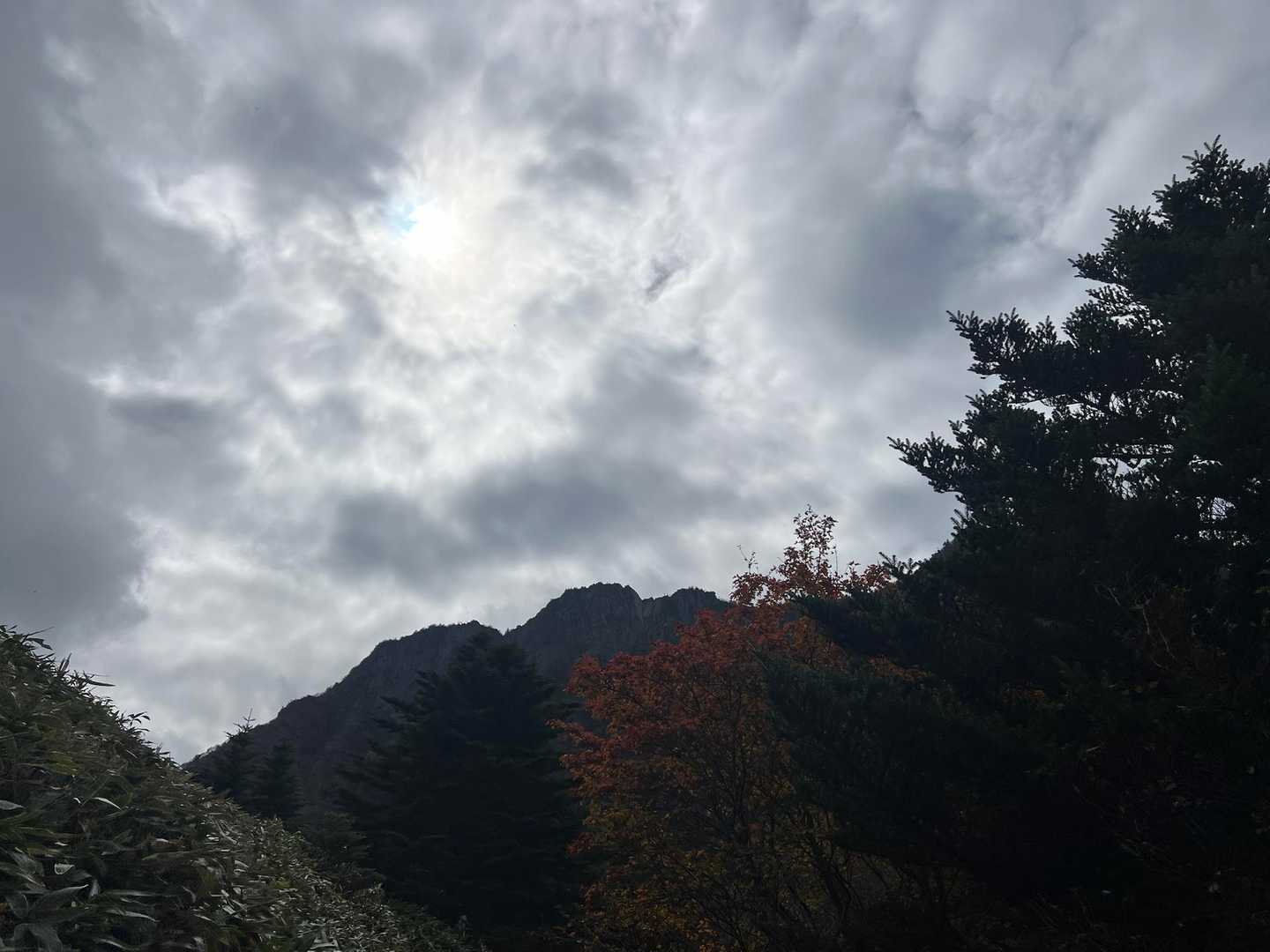 西之川登山口-夜明峠-石鎚山-剣山-石鎚神社 周回コースの写真