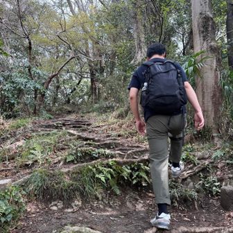 片山 悠介
