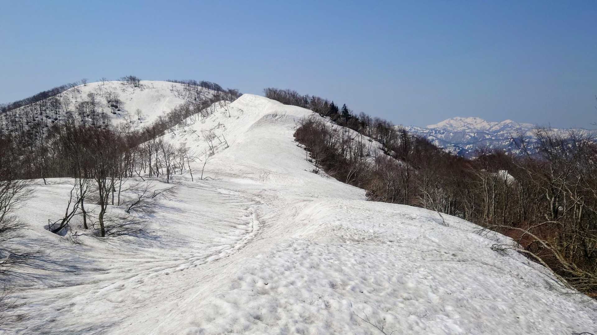 進んでも進んでも、なかなか遠い。