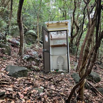 登山道の途中にトイレ🚽全く手入れされてません😱私が開けっぱなしにしたのではありません！近寄る勇気はありません😅