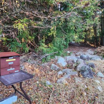 尾根ルート入口はこちら