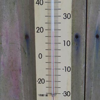 現在19℃  風があっていい
