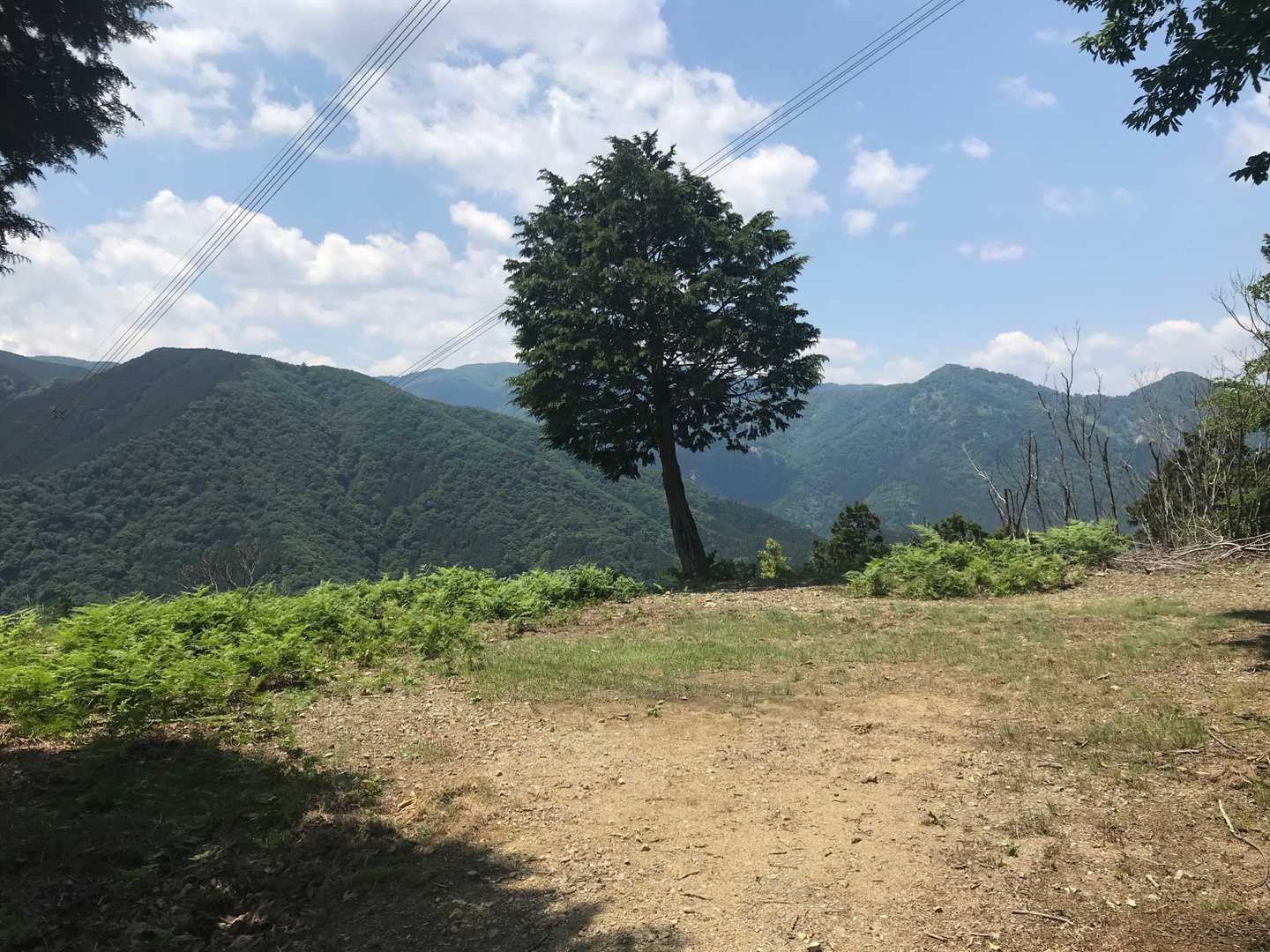 木の下で昼メシします
木の下の日影がいいな