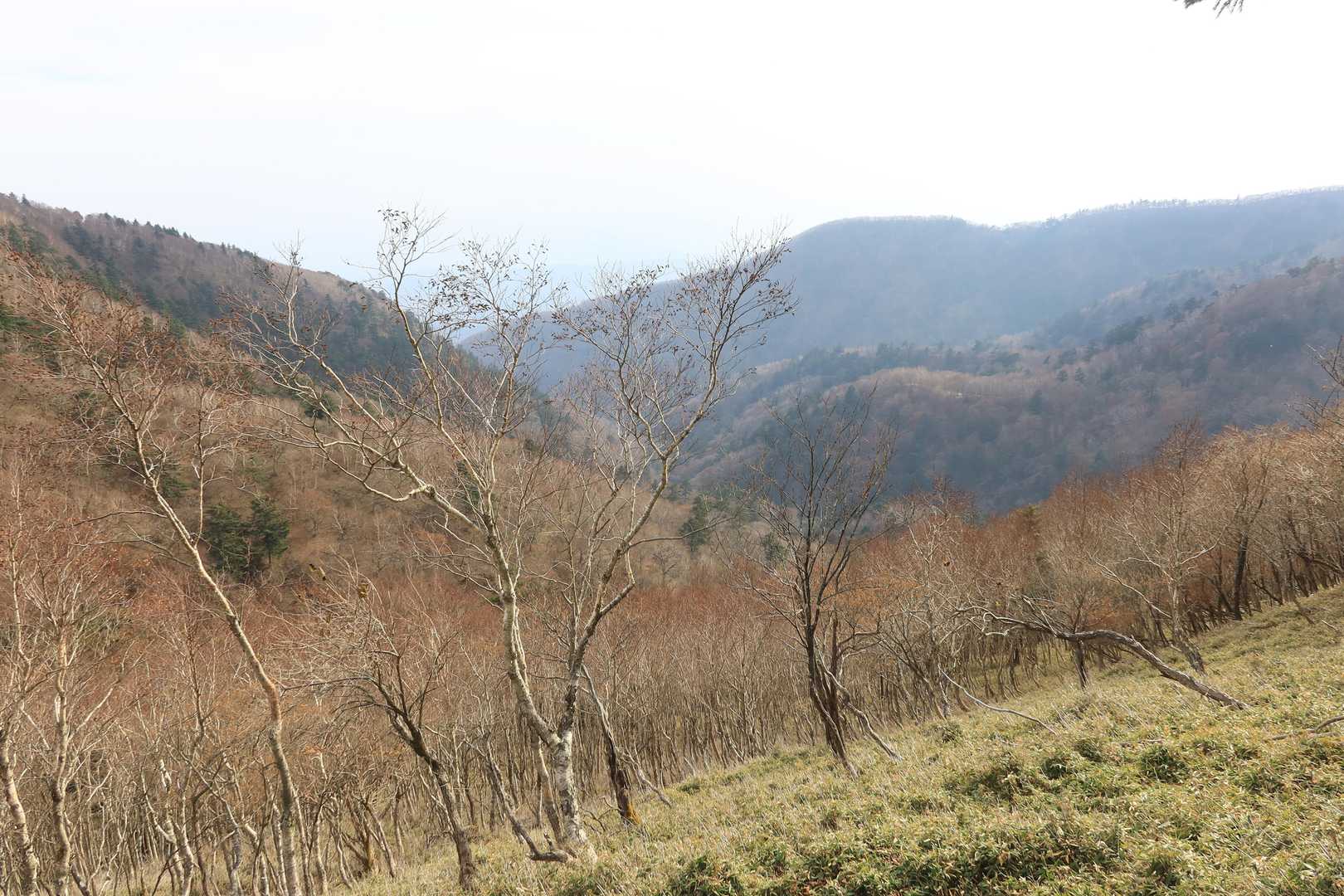 下山