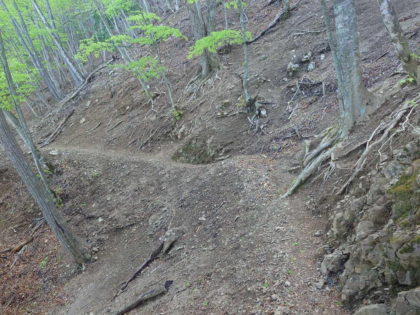 丹波役場前バス停-丹波バス停-サオラ峠-熊倉山-前飛竜-飛 周回コースの写真