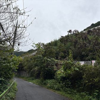 旧甲州街道を小仏峠方向に進む。視線の上に中央高速道路、更にその上には東尾根。