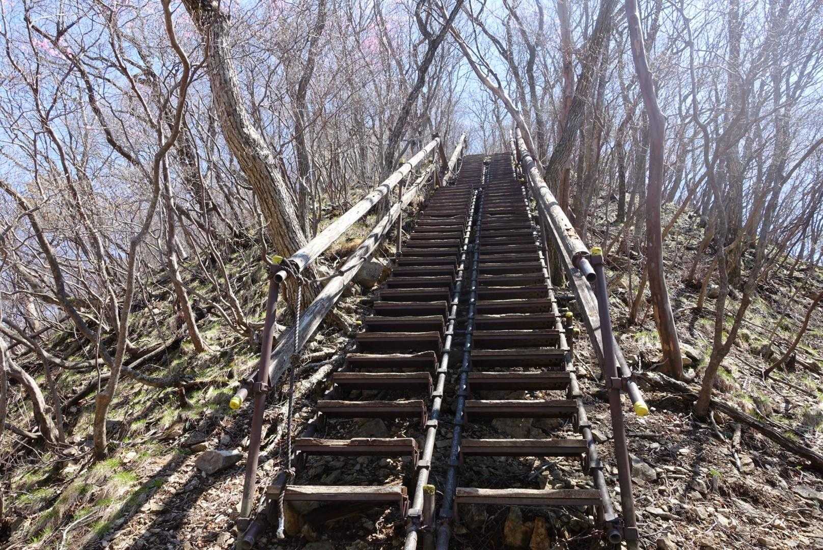 下山開始後、こんな階段をおりました。登りじゃなくてよかった〜😅