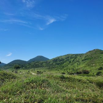 山の感じが恵山と向かいの山で全然違う。
