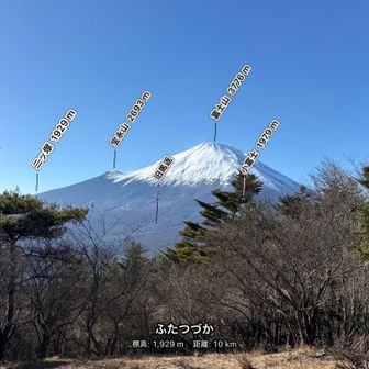 ここからの眺め