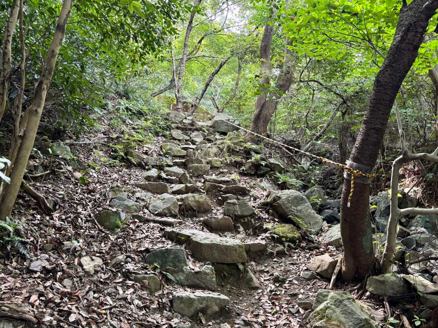 急な岩階段なのでロープあり
暑さでバテたので遠慮なく使わせてもらう