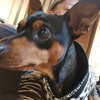 煩悩退散で一心不乱に限界突破