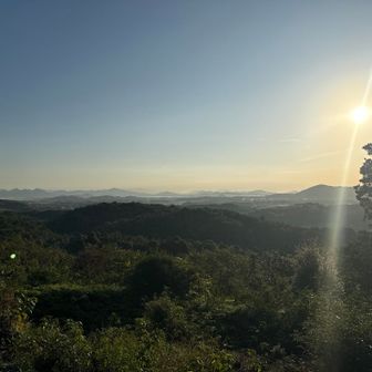 太陽だいぶ上がったな。
眩しい✨️。