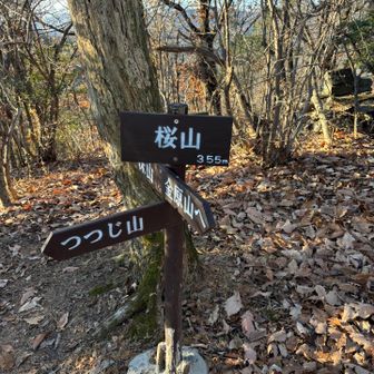 桜山到着！本当は金原山まで行きたいが流石に間に合わないのでまた次回😆
