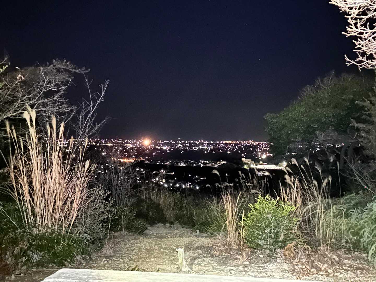 まだまだ暗い高尾山