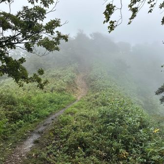 最後はなかなかキツイ登り。でも短い距離。