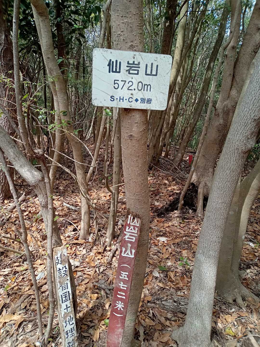 到着