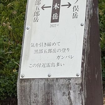 赤木岳は岩ゴツゴツのお山だった