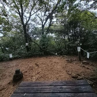 倒木とのことで弥勒山方面からくると全方向ロープが張ってある
特に道樹山⇔大谷山⇔弥勒山の行き来は支障なし