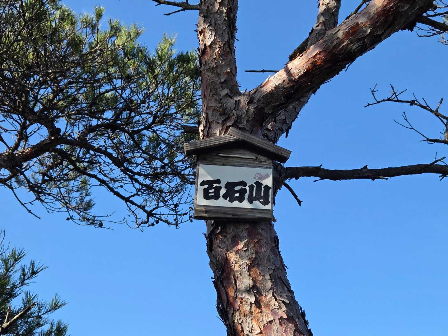 最後に
百石山登頂