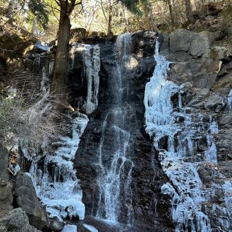 あまり凍ってない
