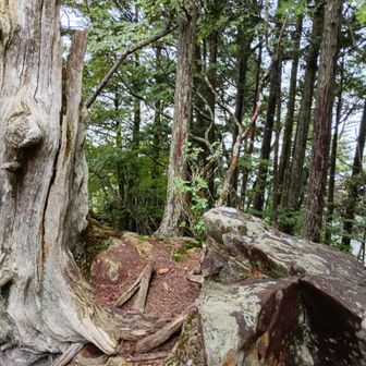 荒々しい景観ですが、登山道は巻道、傾斜がなだらか、ハイキングにもってこいです。秋になると、紅葉狩かり、キノコ狩りで大賑わいとか！！
