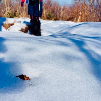 ちょっとだけ雪が残る
