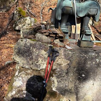 ポール、持ち主の元にかえるといいな…