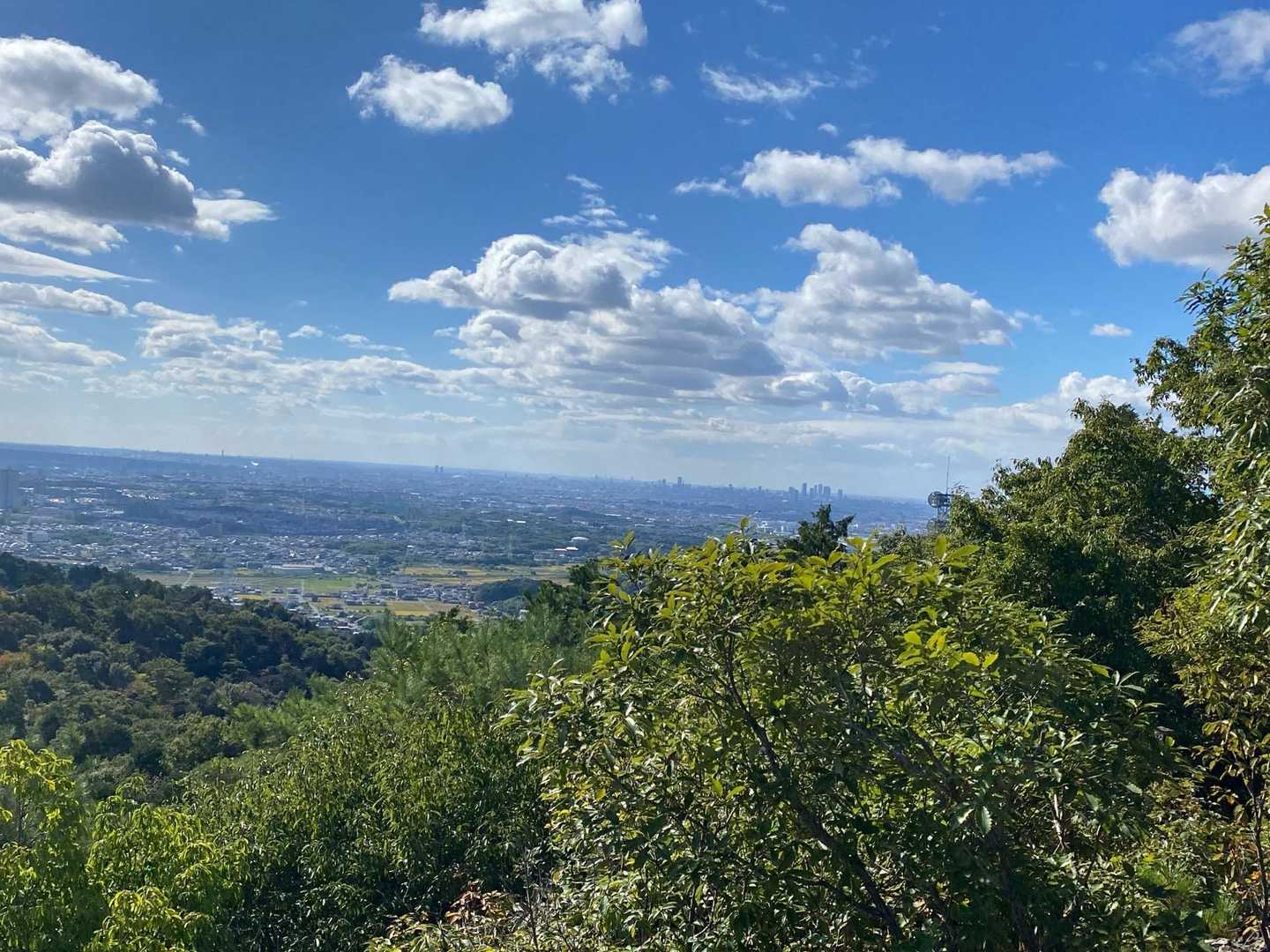 名古屋のビル群🏙️まで良く見えました✨