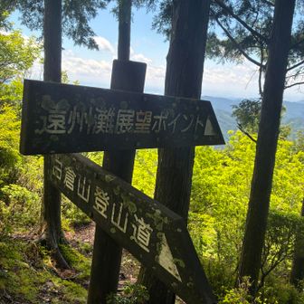 嗚呼〜