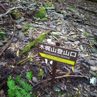 竿をたたんで山登り開始…